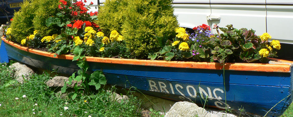 Flower beds in a boat